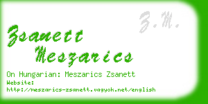 zsanett meszarics business card